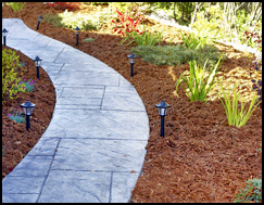 Commercial Landscapers Tampa