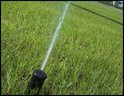 Irrigation Installation Tampa