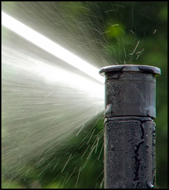 Irrigation Specialists Tampa