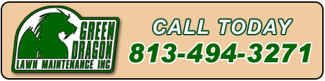 Green Dragon Lawn Maintenance
